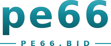 pe66 logo